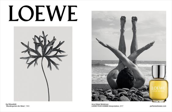 Cartelería imagen de marca Loewe man