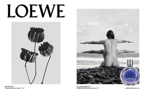 Cartelería imagen de marca Loewe