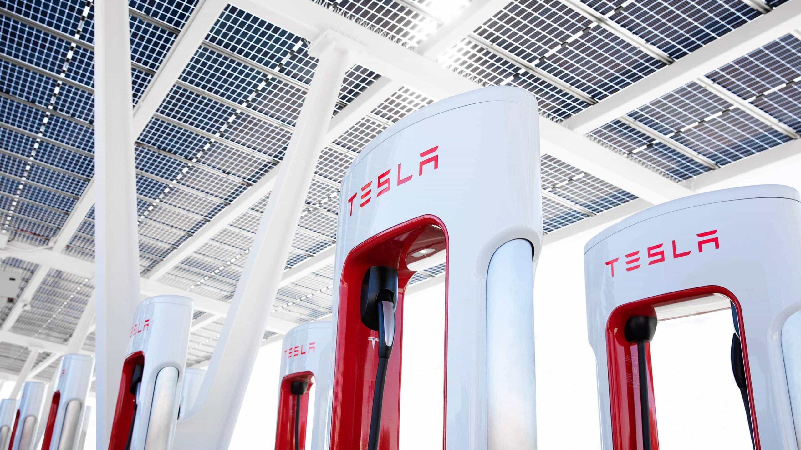 Tótems corporativos para Tesla