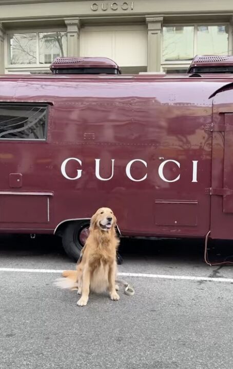 Pop up de la firma Gucci, para celebrar la NYFW.